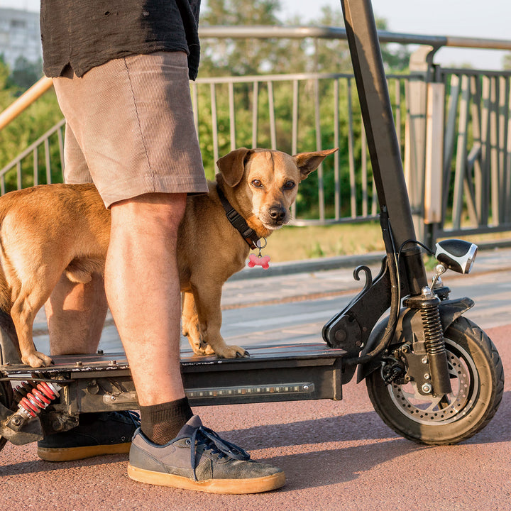 NON-ABRASIVE SKATEGRIP